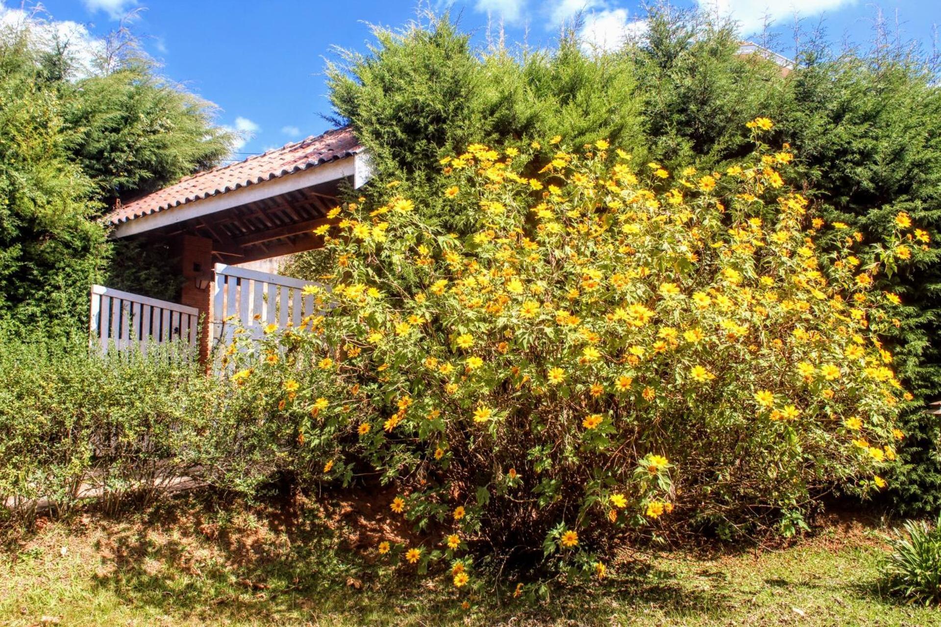 A Casa Dos Artistas Hotel - Campos do Jordao — Fotos 2